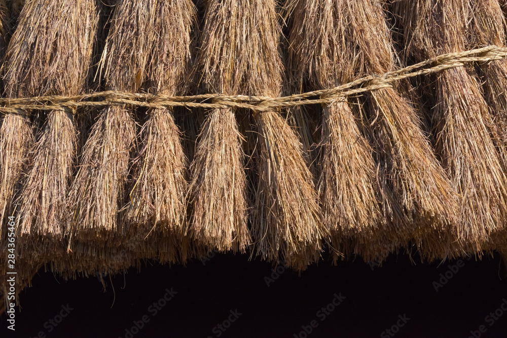 Fototapeta premium Straw roof of traditional dome houses, Mantenga Cultural Village, Swaziland