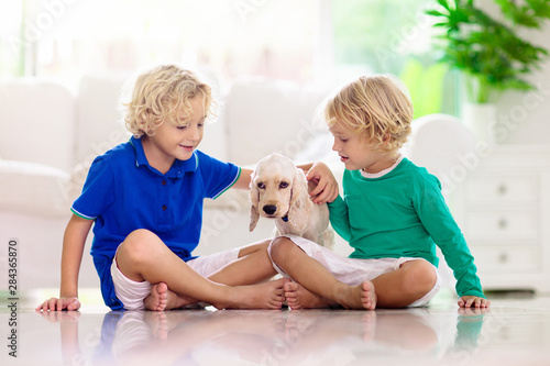 Child playing with dog. Kids play with puppy.