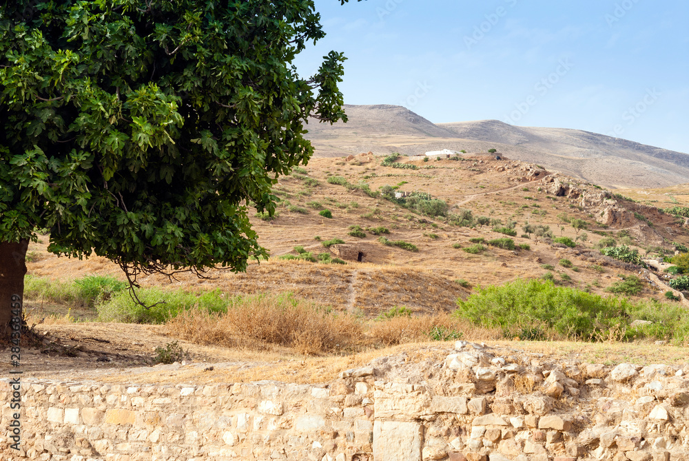 Φωτογραφία Roman ruins of Bulla Regia, Tunisia, North Africa
