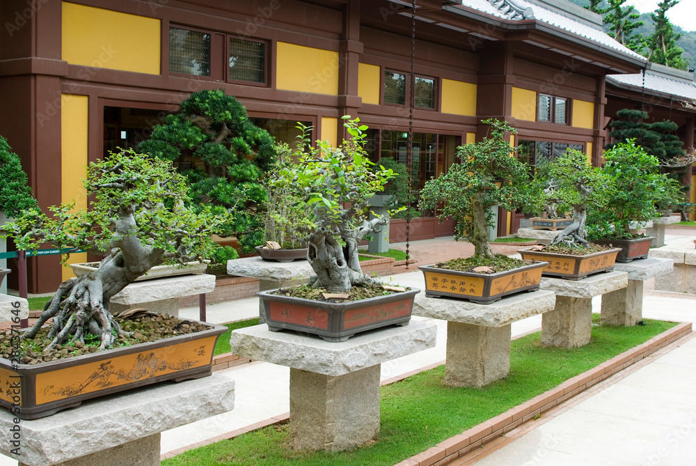 Asia, China, Hong Kong, Kowloon, Wong Tai Sin District. The Penjing (bonsai) Garden is part of Nan Lian Garden in the Diamond Hill area.