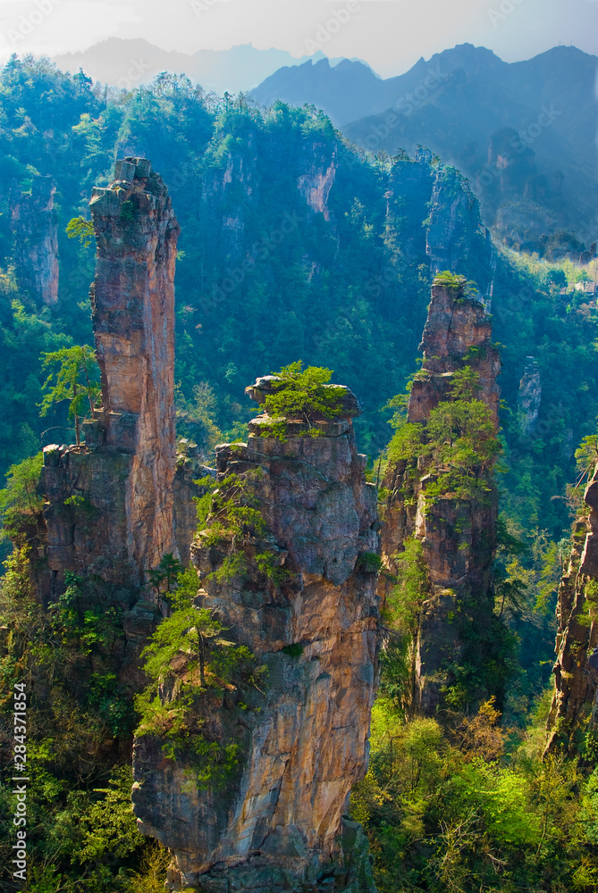 Asia, China, Hunan Province, Zhangjiajie National Forest Park. Forested sandstone pinnacles of the Western Sea at Emperor Mountain (Tianzishan).