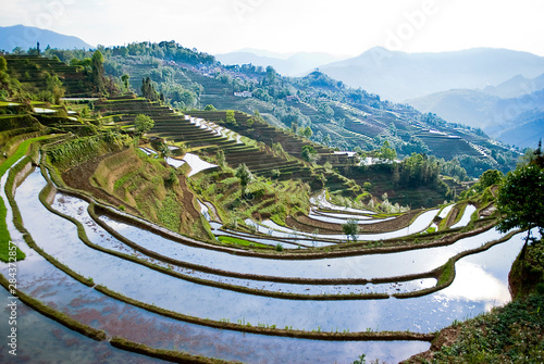 Asia, China, Yunnan Province, Yuanyang County. Sun reflects off flooded Laohu Zui rice terraces near Panzhihua Village. photo