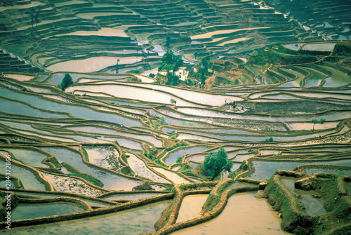 Asia, China. Flooded rice terraces near Nano village.