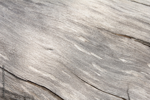 Driftwood close up
