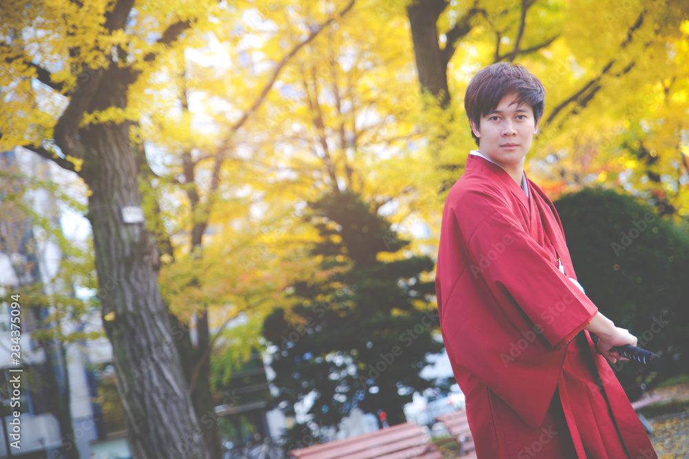 Smart boy wearing japanese traditional kimono in autumn. Autumn park in Sapporo, Japan. The colourful Kimono and the colourful leaves makes this scene so beautiful. Smart boy wearing japanese traditional kimono in autumn. Autumn park in Sapporo, Japan. The colourful Kimono and the colourful leaves makes this scene so beautiful.