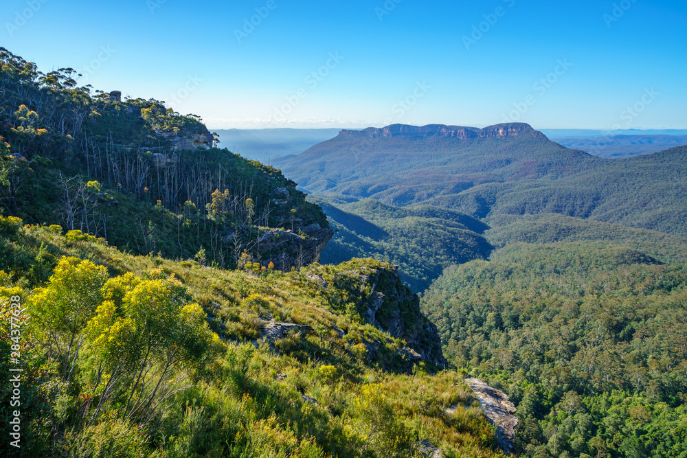 Fototapeta premium cliff view lookout, blue mountains national park, australia 3