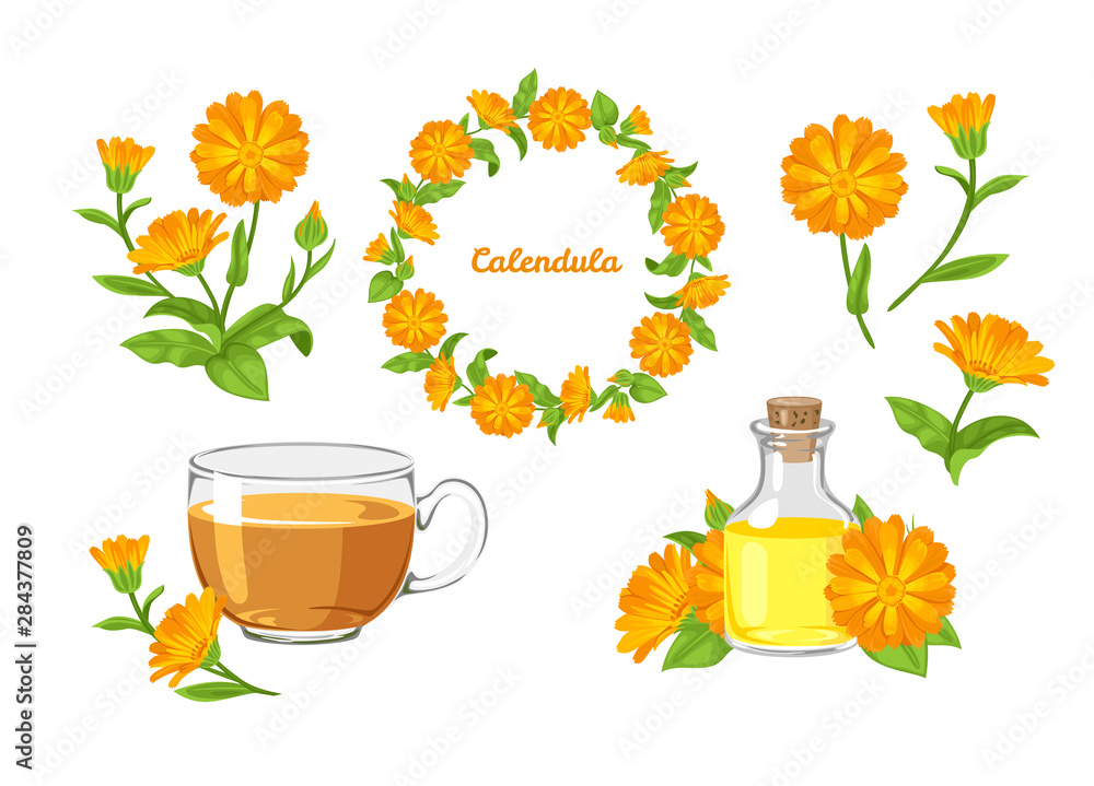Calendula set. Vector cartoon orange flowers isolated on white background. Marigold flowers wreath, tea, calendula oil and bouquet in cartoon simple flat style. Healing herbs. - obrazy, fototapety, plakaty 