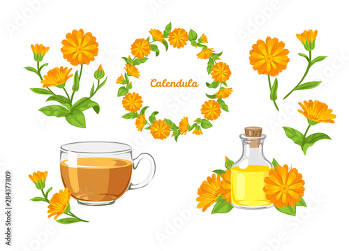 Fotografi Calendula set