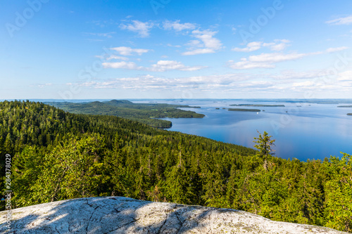 Panorama of Koli national park and Pielinen lake in Finland photo