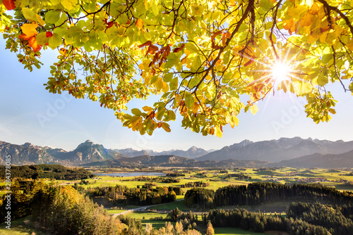Fototapeta Naklejka Na Ścianę i Meble -  panoramic landscape in Bavaria at autumn