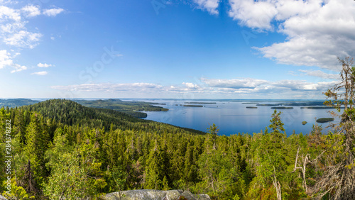 Panorama of Koli national park and Pielinen lake in Finland photo