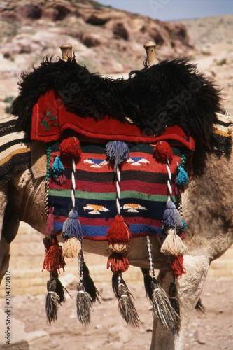 Jordan, Petra, View of saddle on Camel