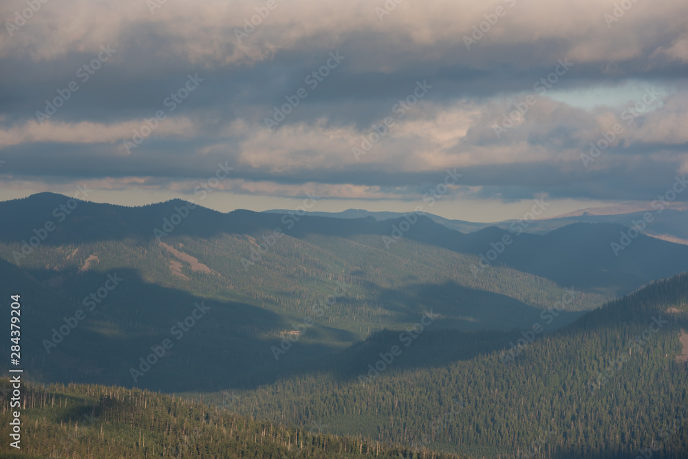 Light and shadows over miles and miles of wilderness trees in the Pacific Northwest