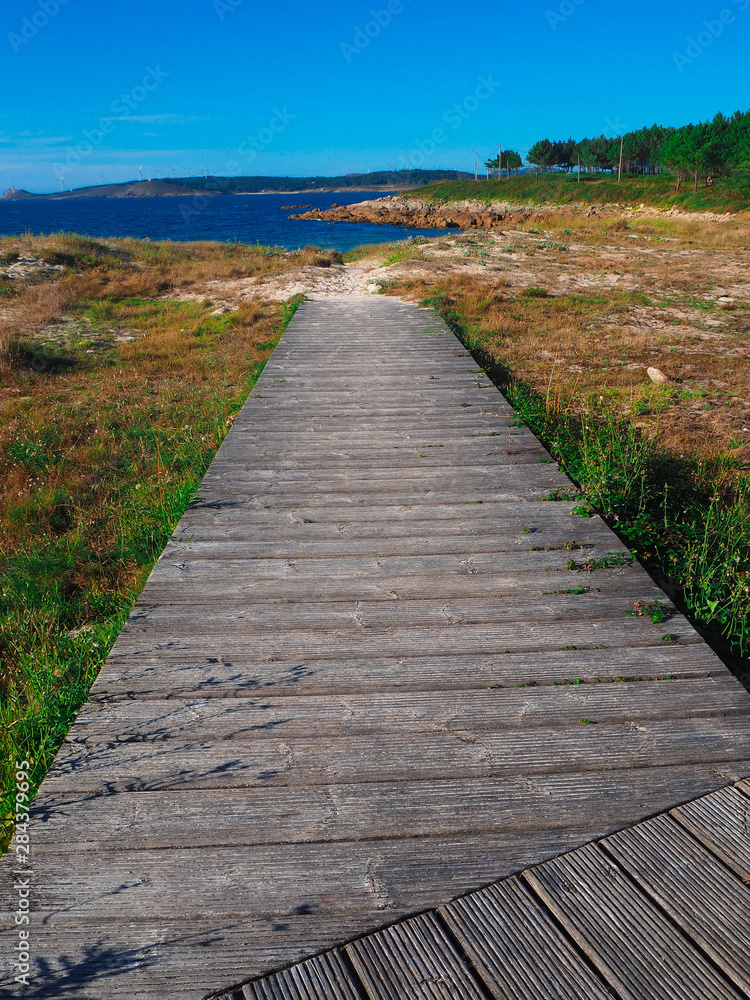 Obraz premium Wood pathway going directly to the Atlantic ocean (norht sea) and a Galicia Beach. Way sorrounded by vegetation, flowers and wheat. 