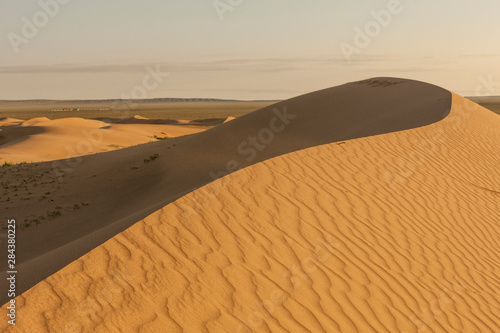 Sand Dunes at sunrise. Gobi desert. Mongolia. photo