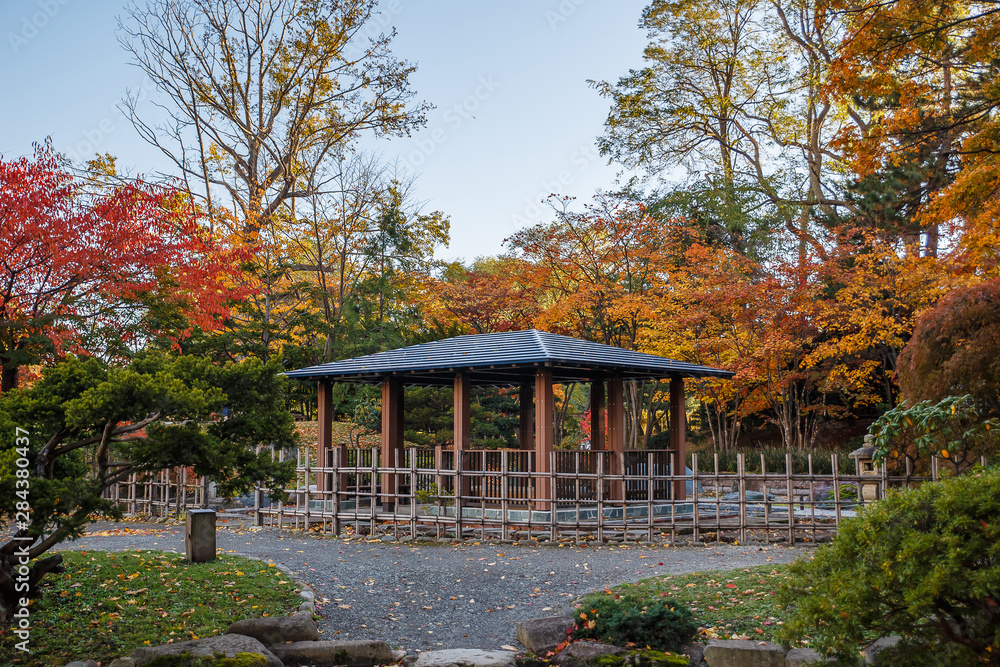 Sapporo City, Hokkaido, Japan - Oct. 29, 2018 : Autumn landscape at Nakajima Park, Sapporo City, Hokkaido, Japan. Sapporo City, Hokkaido, Japan - Oct. 29, 2018 : Autumn landscape at Nakajima Park, Sapporo City, Hokkaido, Japan.