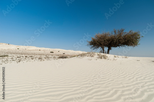 Khaluf desert, Oman.