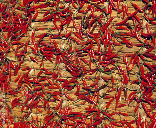 Asia, Nepal, Kathmandu. Red chilies dry on straw mats in a courtyard in Kathmandu, a World Heritage Site, Nepal.
