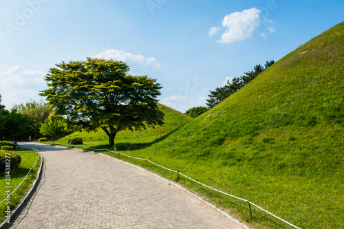 Tumuli Park with its tombs from the Shilla monarchs in the Unesco World Heritage Site Gyeongju, South Korea photo