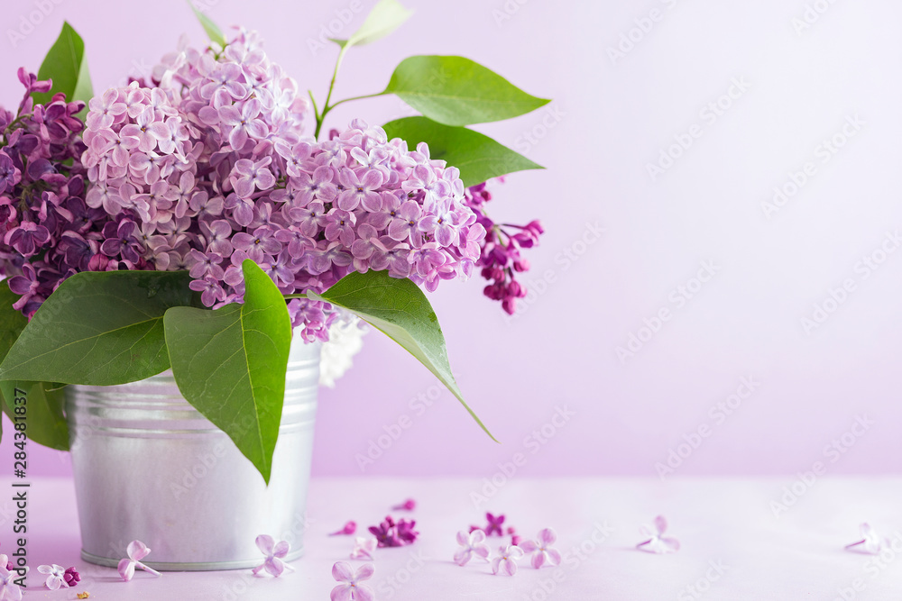 Obraz premium blooming lilac on a purple background