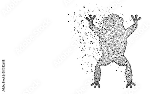 Frog low poly design, Amphibian animal abstract geometric image, Toad wireframe mesh polygonal vector illustration made from points and lines on white background