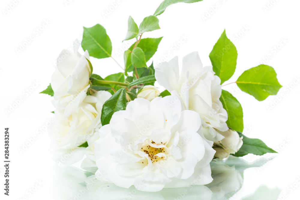 bouquet of beautiful white roses isolated on white bouquet of beautiful white roses isolated on white
