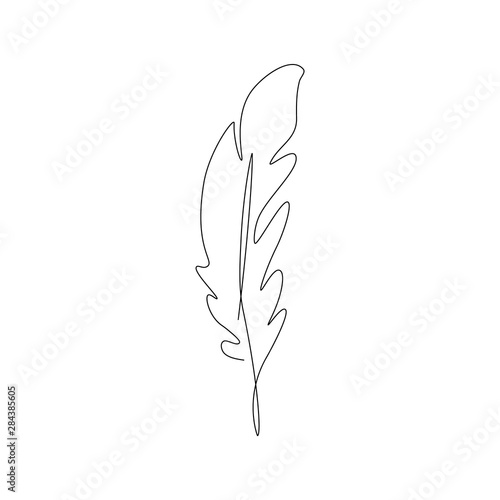 bird feather one line drawing. Continuous line. Hand-drawn minimalist illustration, vector.