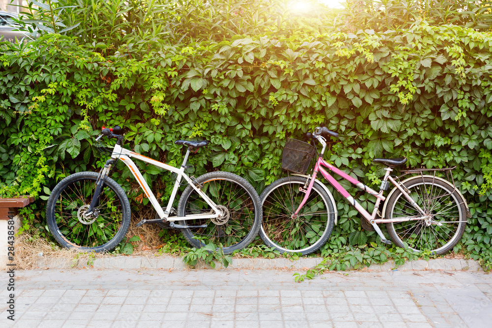 Bicycles near tall bushes. Two bicycles are parked near a green bush on the street.