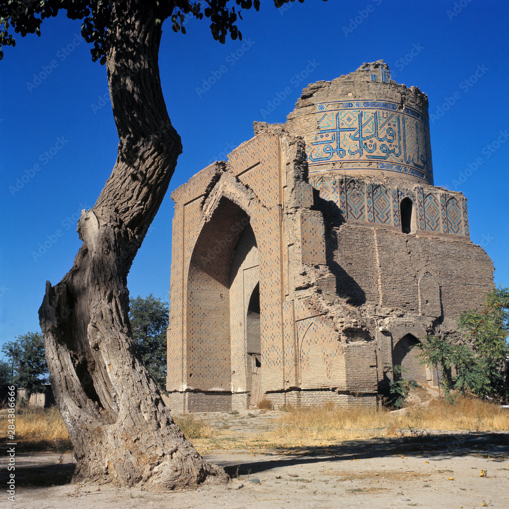 Uzbekistan, Bukhara. A bent, twisted tree mimics the lines of this ruined mosque in Bukhara, Uzbekistan.