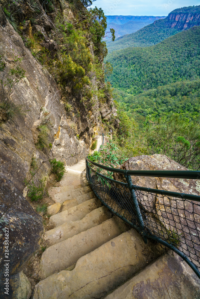 Fototapeta premium hiking in the blue mountains national park, australia