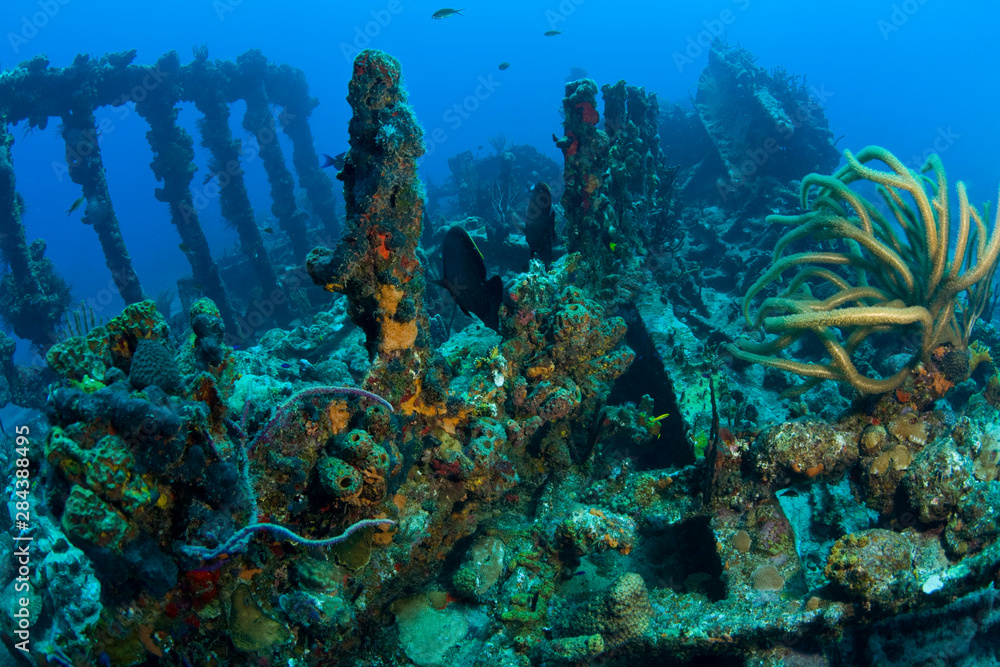 Obraz premium Wreck of the RMS Rhone, iron-hulled steam sailing vessel, sank after the Great Hurricane of 1867 off the coast of Salt Island, near Tortola, British Virgin Islands, Caribbean