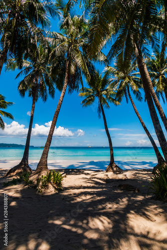 Palm trees on a beautiful  relaxing tropical beach