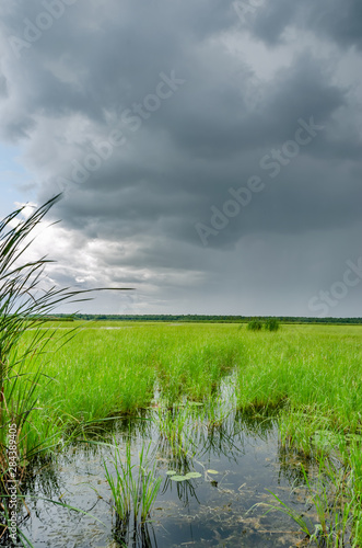 Obraz na plátně Storm clouds over a wetland
