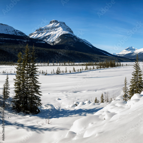 Canada, Alberta, Banff National Park, Mount Amery, Mount Saskatchewan and the North Saskatchewan River