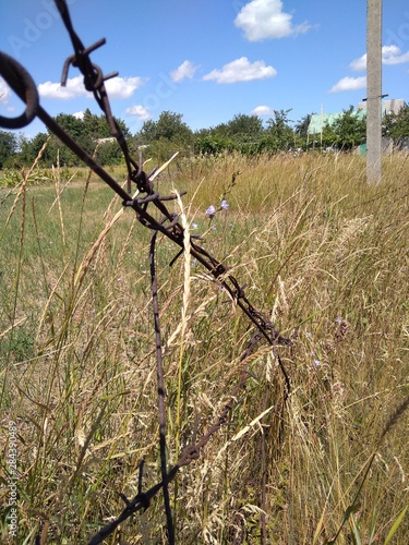 barbed wire fence