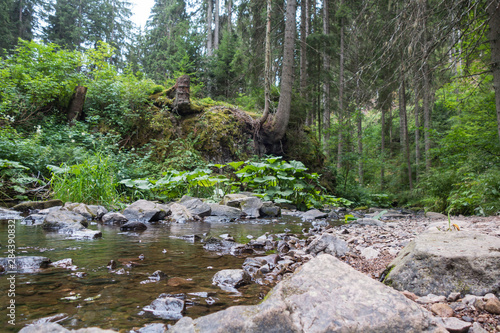 Wallpaper Mural Rötenbachschlucht Torontodigital.ca
