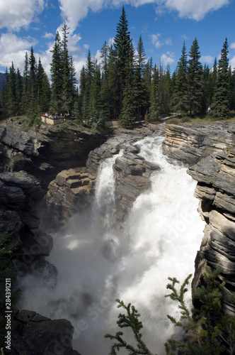 Athabasca Falls, Jasper National Park Alberta, Canada © Michael DeFreitas/Danita Delimont