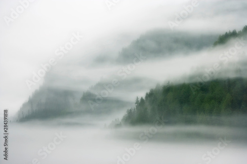 Canada, British Columbia, Fiordland Recreation Area. Mist and fog shroud water and forested island. 