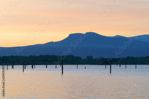 Canada, British Columbia, Vancouver Island. Piles in the Cowichan River Estuary with Mt Prevost in the background, Cowichan Bay photo
