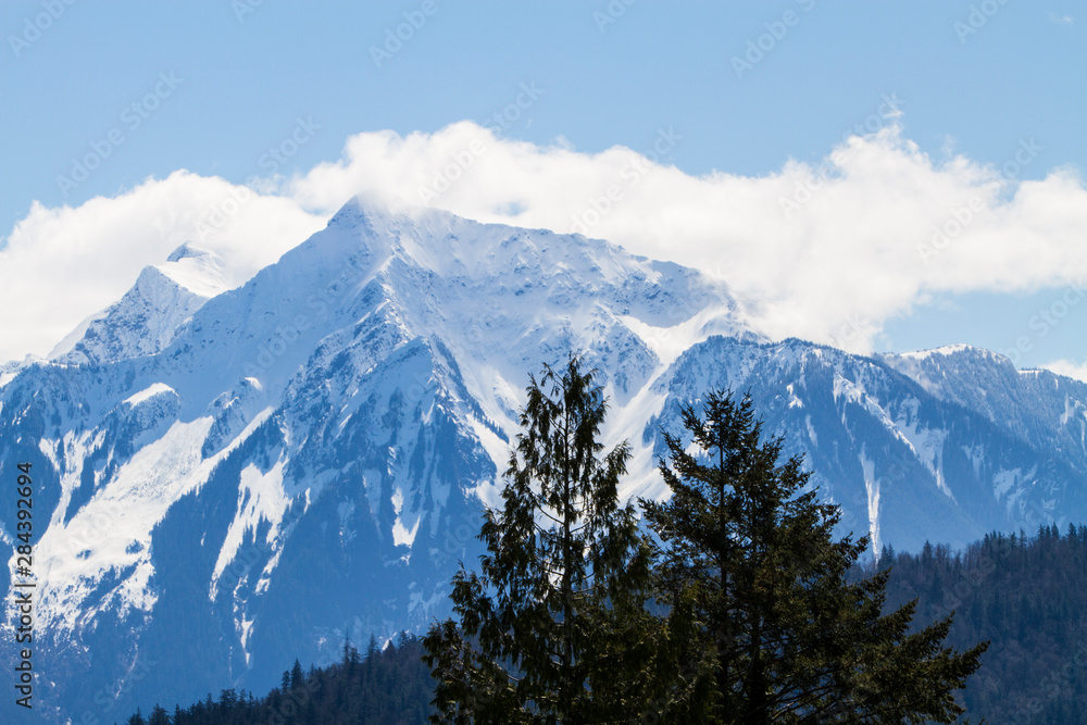 Harrison Hot Springs, British Columbia, Canada, Clouds rise over snowcapped Mount Cheam and an evergreen tree forest