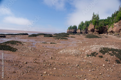 Canada, New Brunswick, Hopewell Cape, Bay of Fundy. Hopewell Rocks at low tide (aka Flowerpot Rocks).