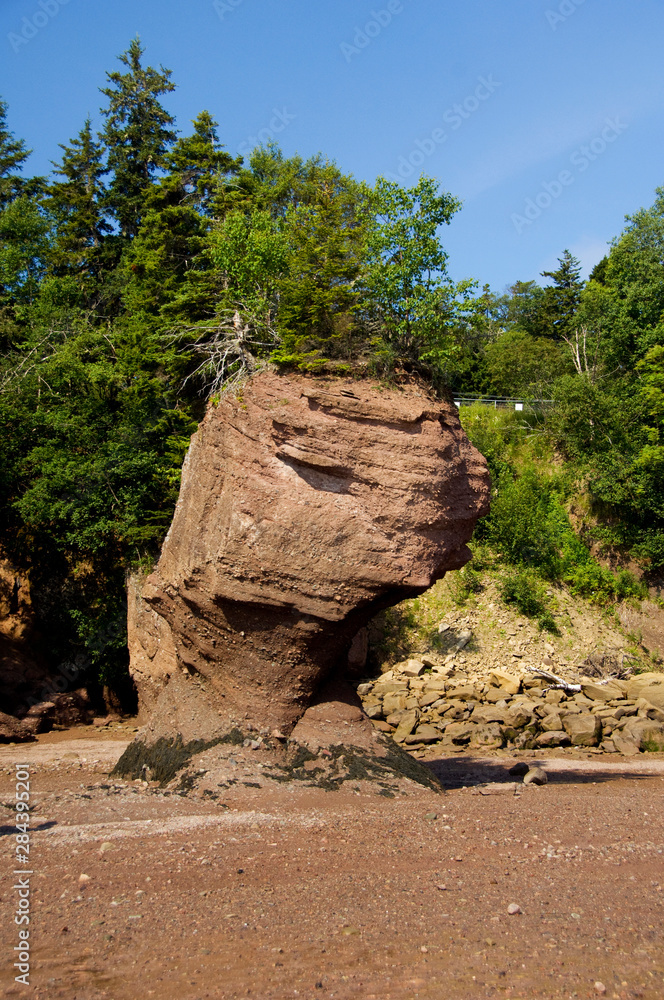 Canada, New Brunswick, Hopewell Cape, Bay of Fundy. Hopewell Rocks at low tide (aka Flowerpot Rocks). Canada, New Brunswick, Hopewell Cape, Bay of Fundy. Hopewell Rocks at low tide (aka Flowerpot Rocks).