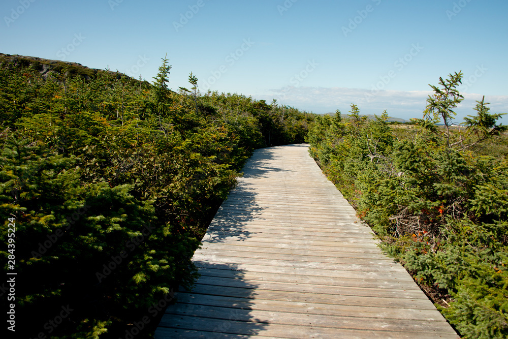 Canada, Newfoundland, L'Anse aux Meadows National Historic Site. Only known Viking site in North America. Park boardwalk to historic site. UNESCO..