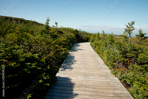 Canada, Newfoundland, L'Anse aux Meadows National Historic Site. Only known Viking site in North America. Park boardwalk to historic site. UNESCO.. © Cindy Miller Hopkins/Danita Delimont