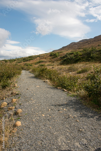 Canada, Newfoundland. Gros Morne National Park. Hiking trail to the Tablelands area of Gros Morne Park..