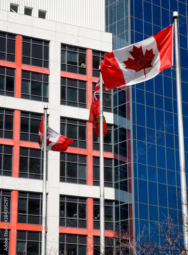 Canada, Ontario, Toronto. View of downtown buildings and Canadian flags.