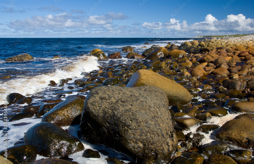 North America, Canada, Newfoundland and Labrador, Gros Morne National Park, Coastline