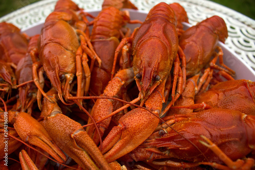 Crawfish upfront