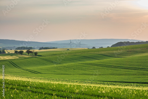 The landscape in Low Saxony  Germany