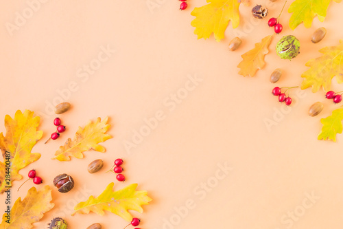 Flat lay frame with colorful autumn leaves  acorns and berries on a color background